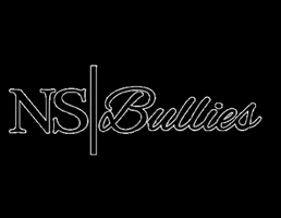 NS BULLIES GIF