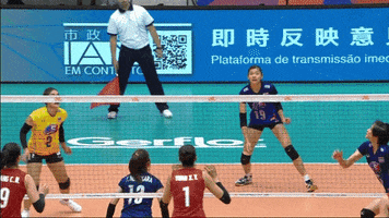 Fly Wow GIF by Volleyball World