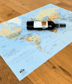 Cant Decide Wine Bottle GIF