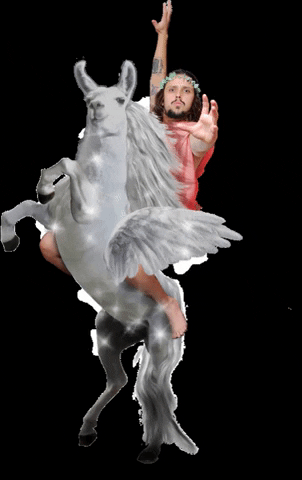 KeToBra GIF
