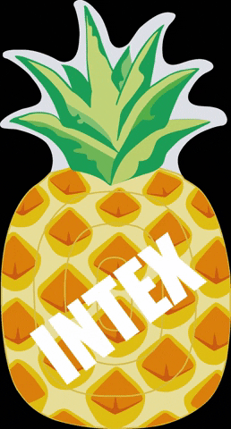 Pineapple GIF by intex