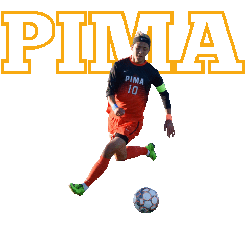 PimaCommunityCollege Sticker