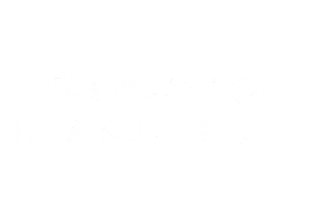 Mchs Sundevil Sticker