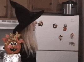 What Just Happened Omg GIF by Amy Lynn's Kitchen