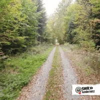 200w.webp