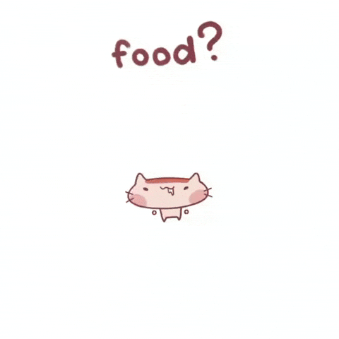 Cat GIF