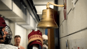 Womens Hockey GIF by Norwich University