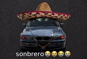 Bmw Eli GIF