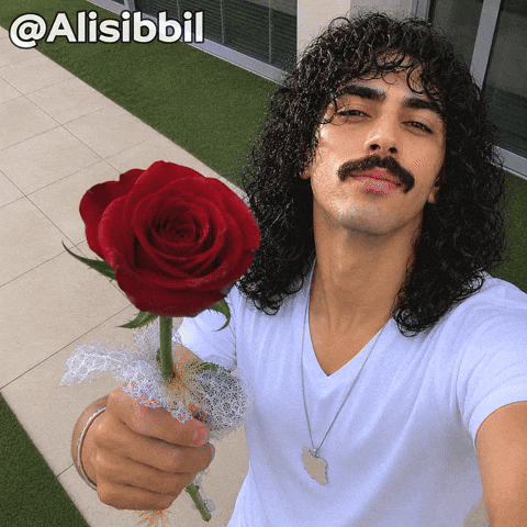 Red Rose Love GIF
