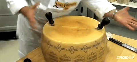 Cheese GIF - Find & Share on GIPHY