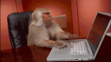 Ape Office Monkey GIF