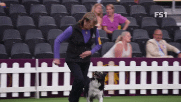 Westminster Dog Show Idol GIF by Westminster Kennel Club