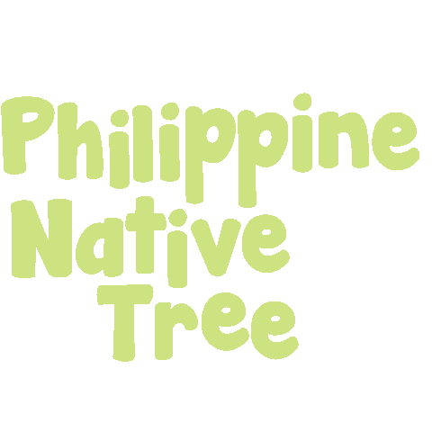 Tree Philippines Sticker