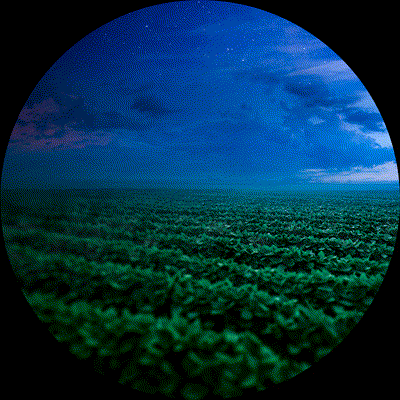 Campo Seed GIF by Uniggel Sementes