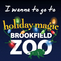 Winter Lights GIF by Brookfield Zoo