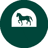 Lipica Sticker
