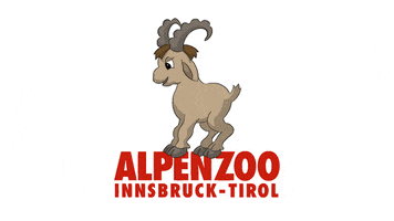 Ibex Steinbock GIF by Alpenzoo Innsbruck