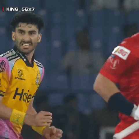 Babar Azam Zalmi GIF