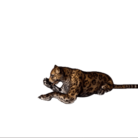 Desarrollo Territorial y Ambiente Sticker