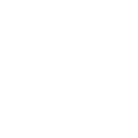 Delegazione FAI Sticker