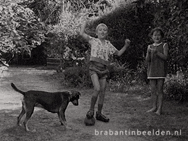 Soccer Celebrating GIF by BrabantinBeelden