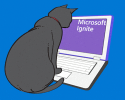 Ignite Black Cat GIF by Microsoft Cloud