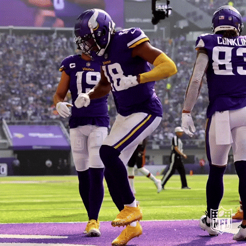 Happy Minnesota Vikings GIF by NFL