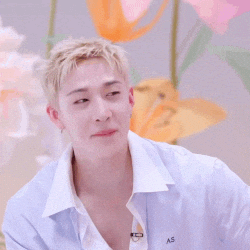 Skz Chan GIF