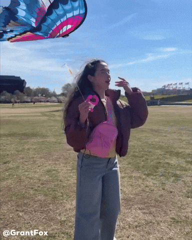 Washington Dc Kite GIF