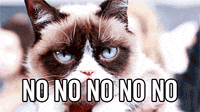 Grumpy Cat Lol GIF by Animation Domination High-Def - Find & Share on GIPHY