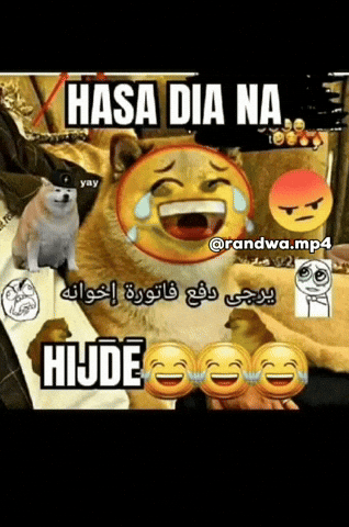 Sarcasm GIF