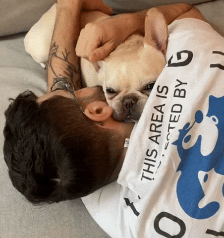 French Bulldog Hug GIF