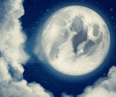 Hot Dog Football GIF by Bijan Mustardson