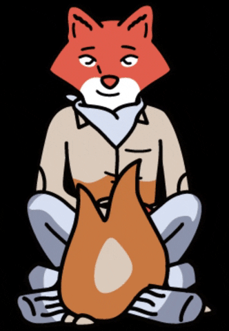 Fox Camping GIF by Scrappy Cat