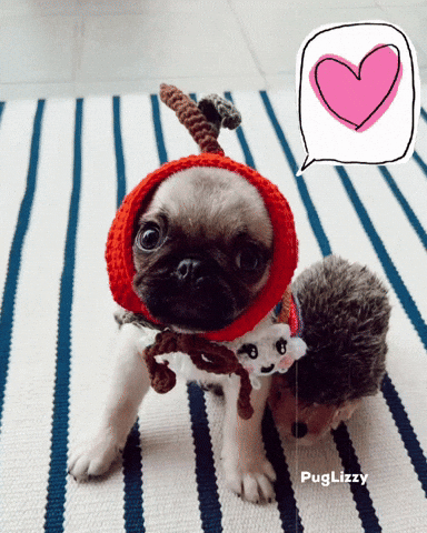 I Love You Valentine GIF