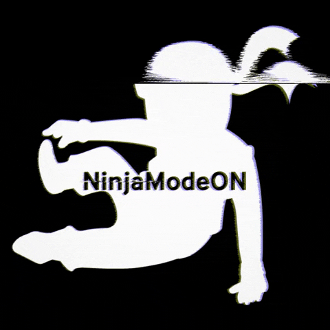 NinjaZone ninja ninjazone ninja mode on GIF