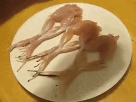 Legs Frog GIF