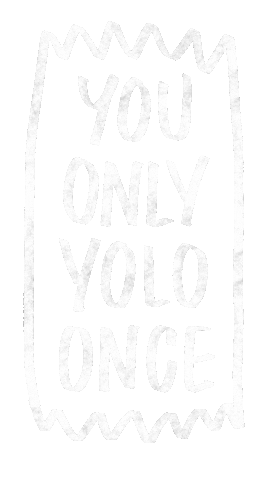 You Only Live Once Yolo Sticker by Norriseph