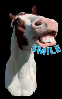 Big-teeth GIFs - Get the best GIF on GIPHY