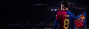 Player Spain GIF