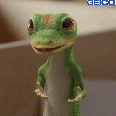 Back And Forth What GIF by GEICO