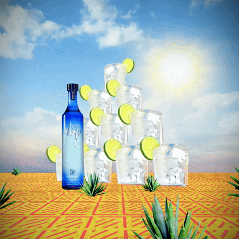 Fun Party GIF by Milagro Tequila