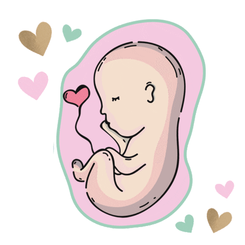 Zwangerschap Emmeloord Sticker By Hartendief For Ios Android Giphy