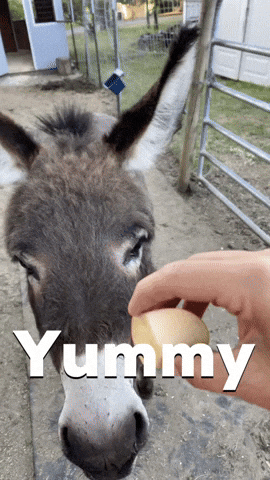 CaringCowgirl GIF