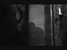 Young Frankenstein GIF