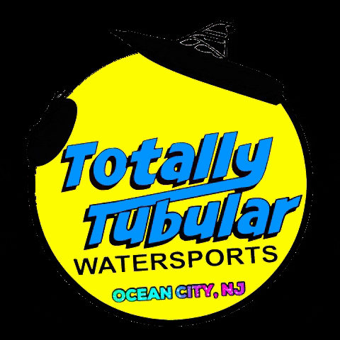 THHvHoldings wakeboarding watersports ttw tubing GIF