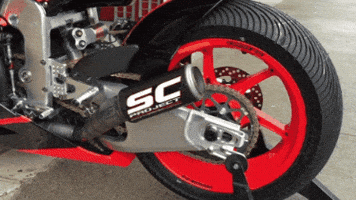 SC-Project GIF