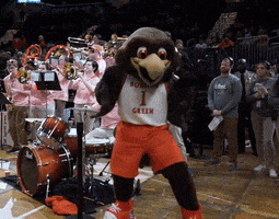 Bgsufalcons GIF by Bowling Green State University