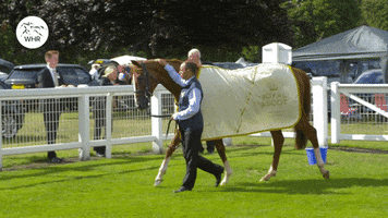 Royal Ascot GIF by World Horse Racing