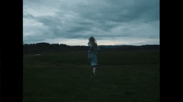 Breakdown Donna GIF by The Lumineers